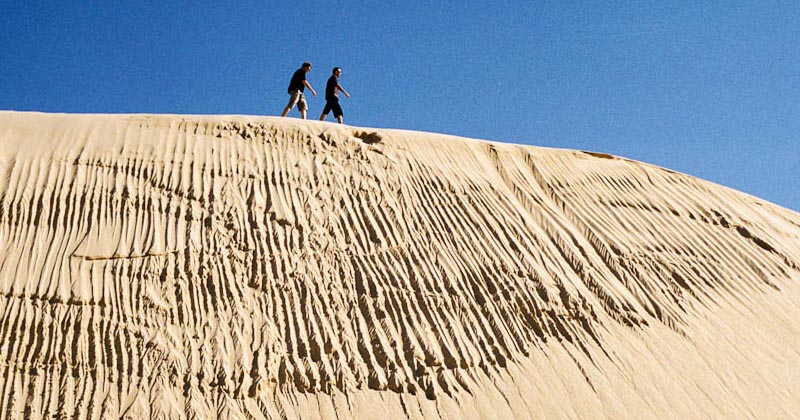 Sand Dune Adventures in Williamtown